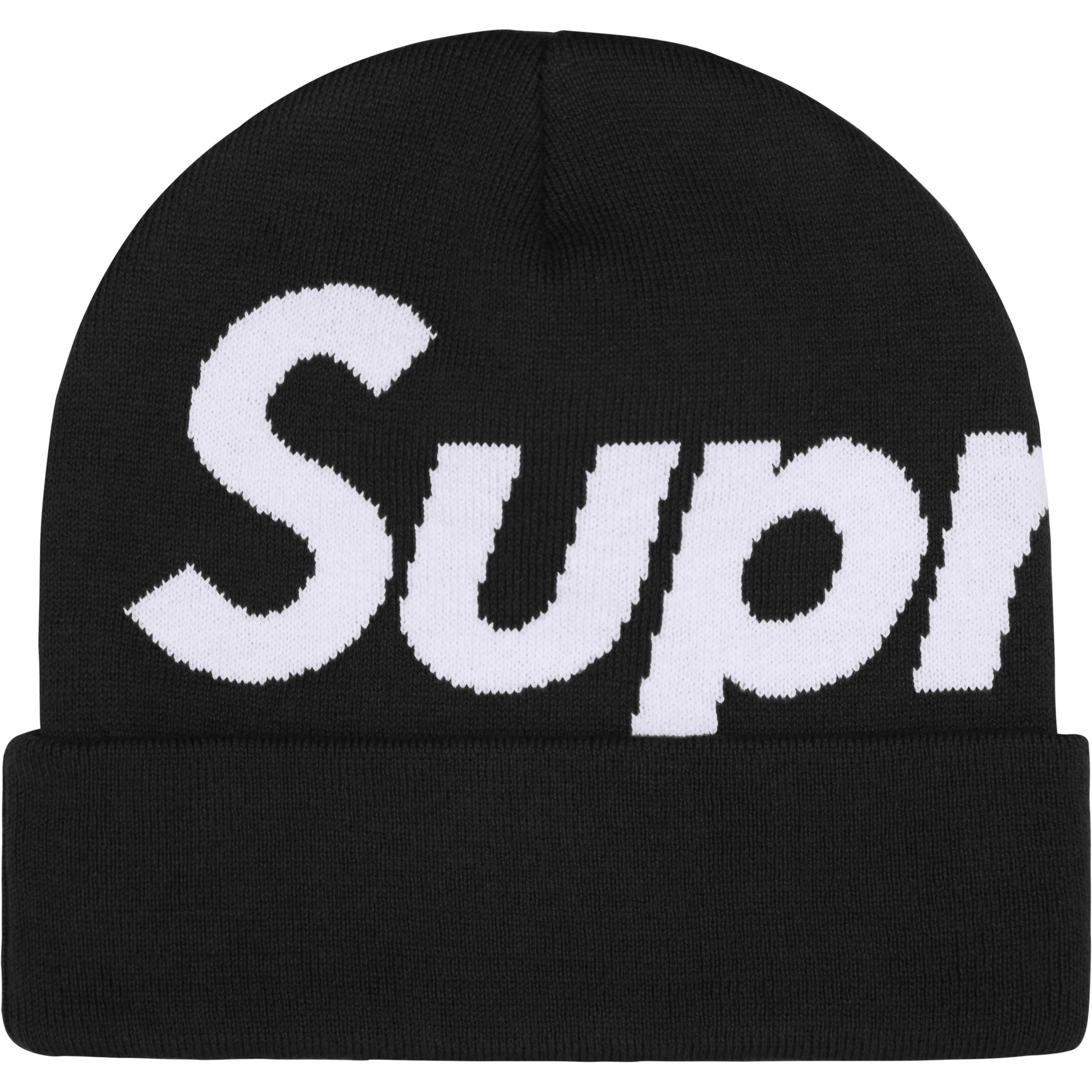 Big Logo Beanie view 8
